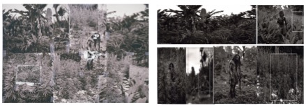 Two sets of black-and-white images depict dense vegetation with a man among tall plants. On the left, a collage overlays repeated fragments of the man standing shirtless with long hair, partially obscured by white blotches. On the right, four separate photographs show the man in different positions within a lush, overgrown landscape, framed by rectangular outlines that highlight parts of the images.